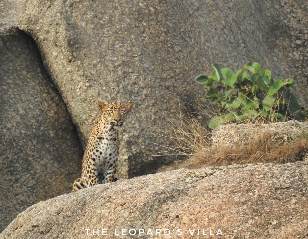 Jawai Leopard Villa Bijapur  Экстерьер фото